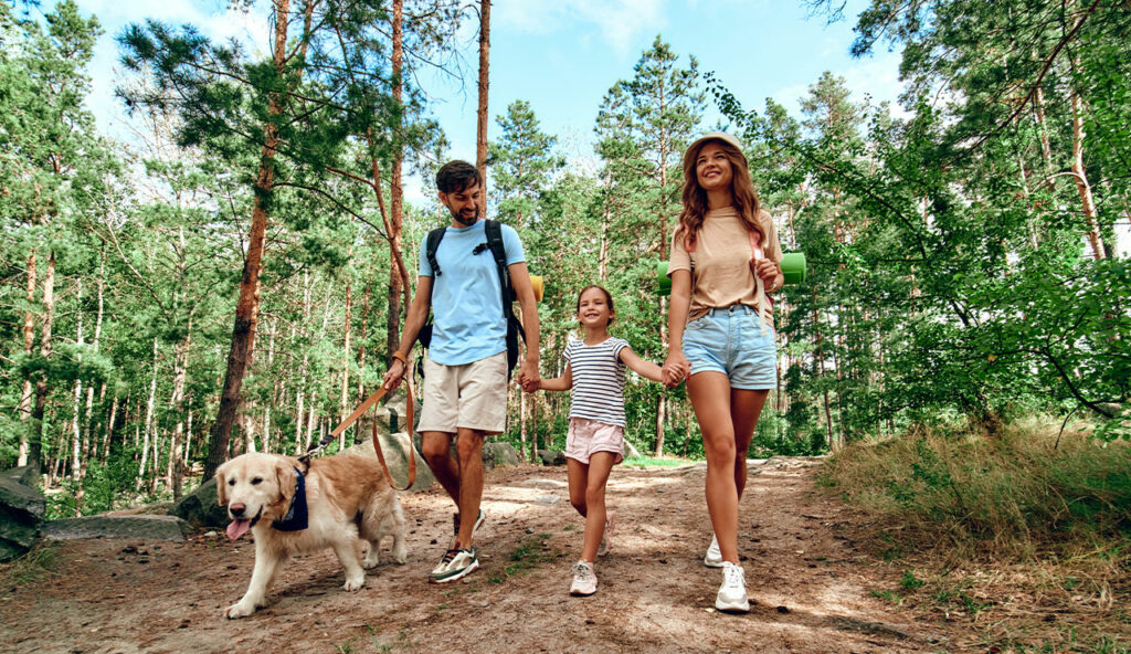 Egy család kisgyerekkel, kutyával sétál az erdőben. 